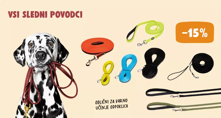 Sledni povodci